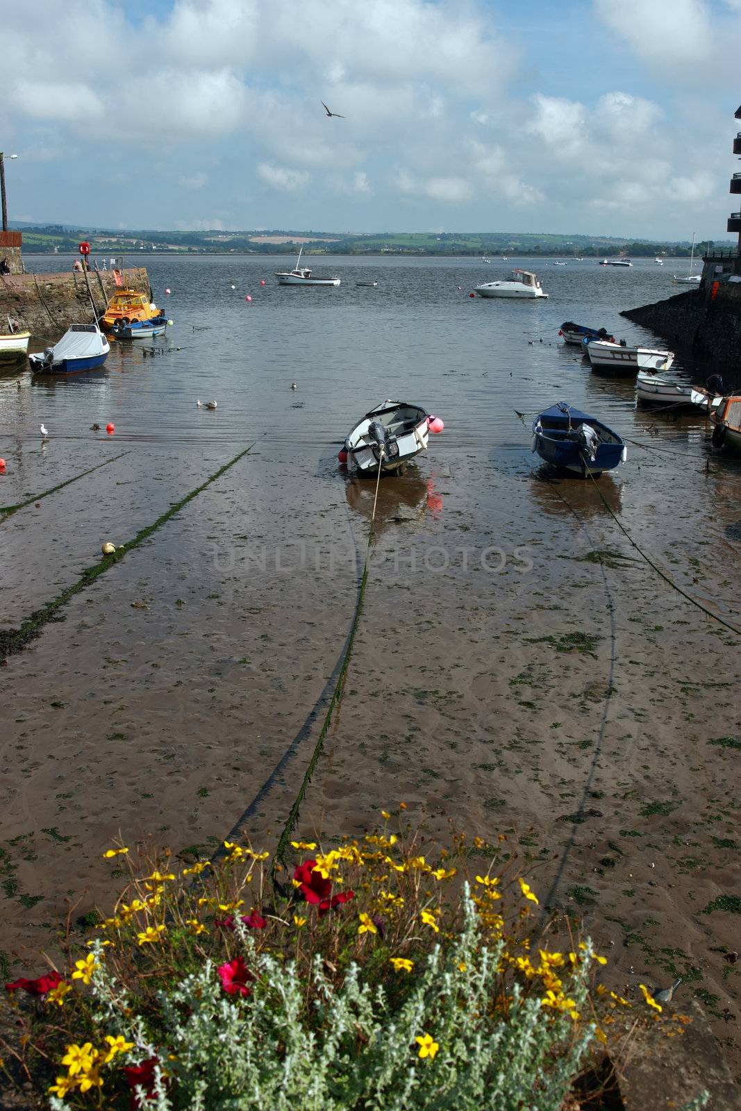 a calm sea on the west coast of ireland with boats anchored in the bay and flowers in the foreground