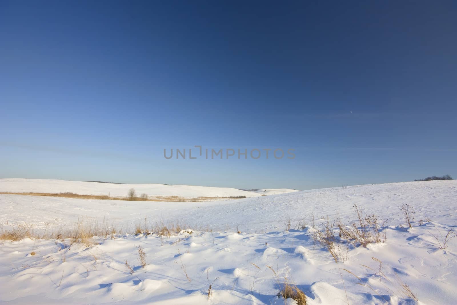 Winter field by aleksaskv