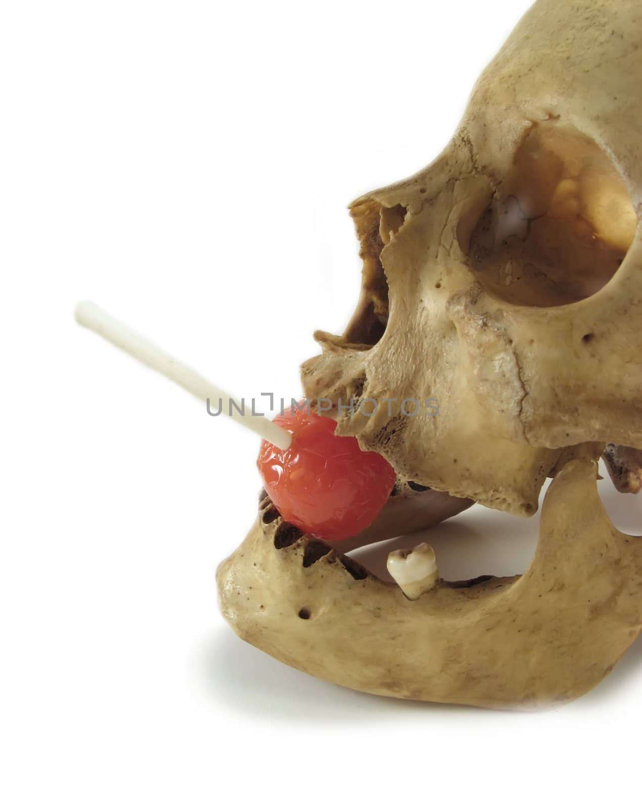image of a skull with a red lollipop