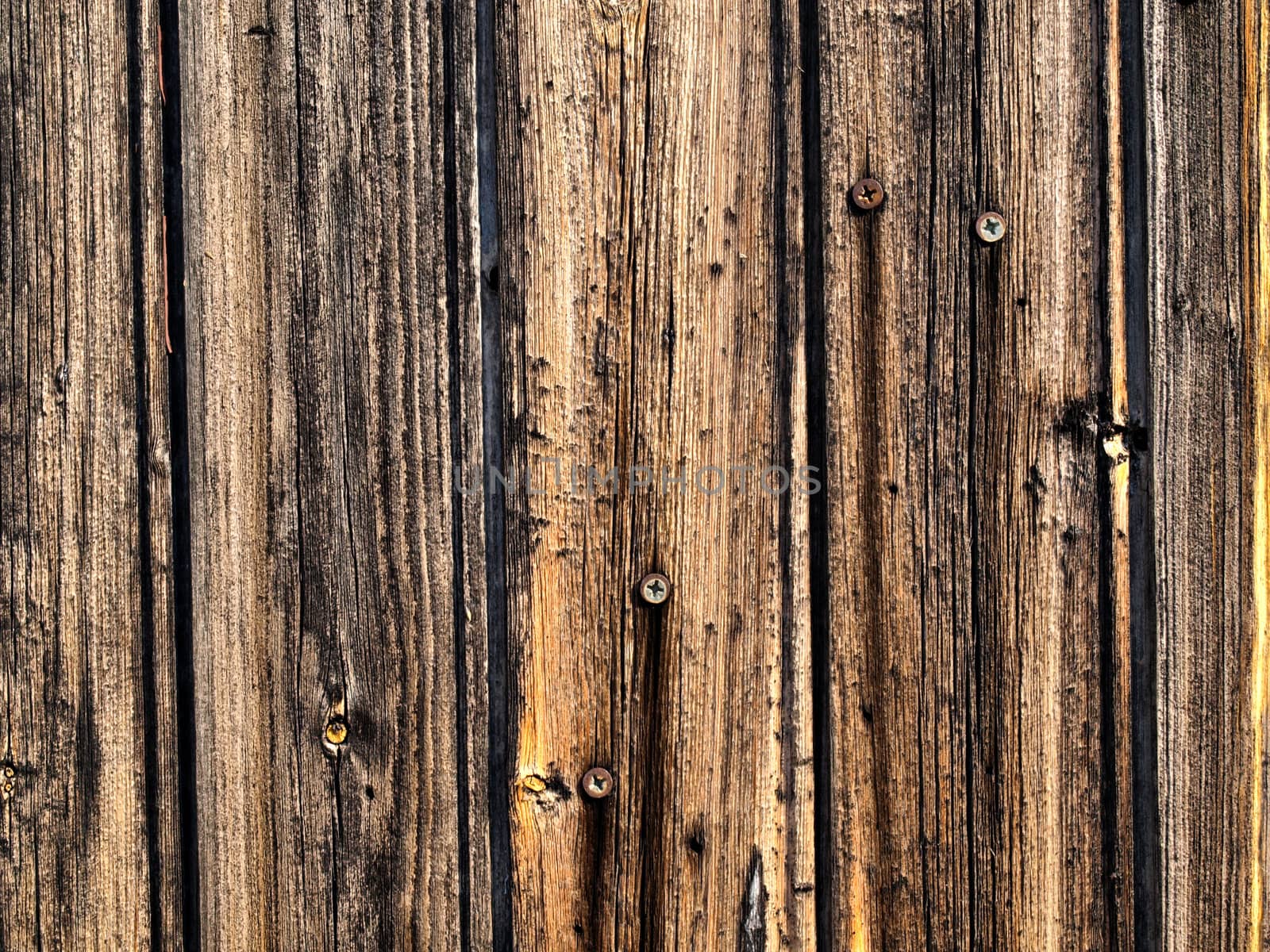 a texture image of a wooden door