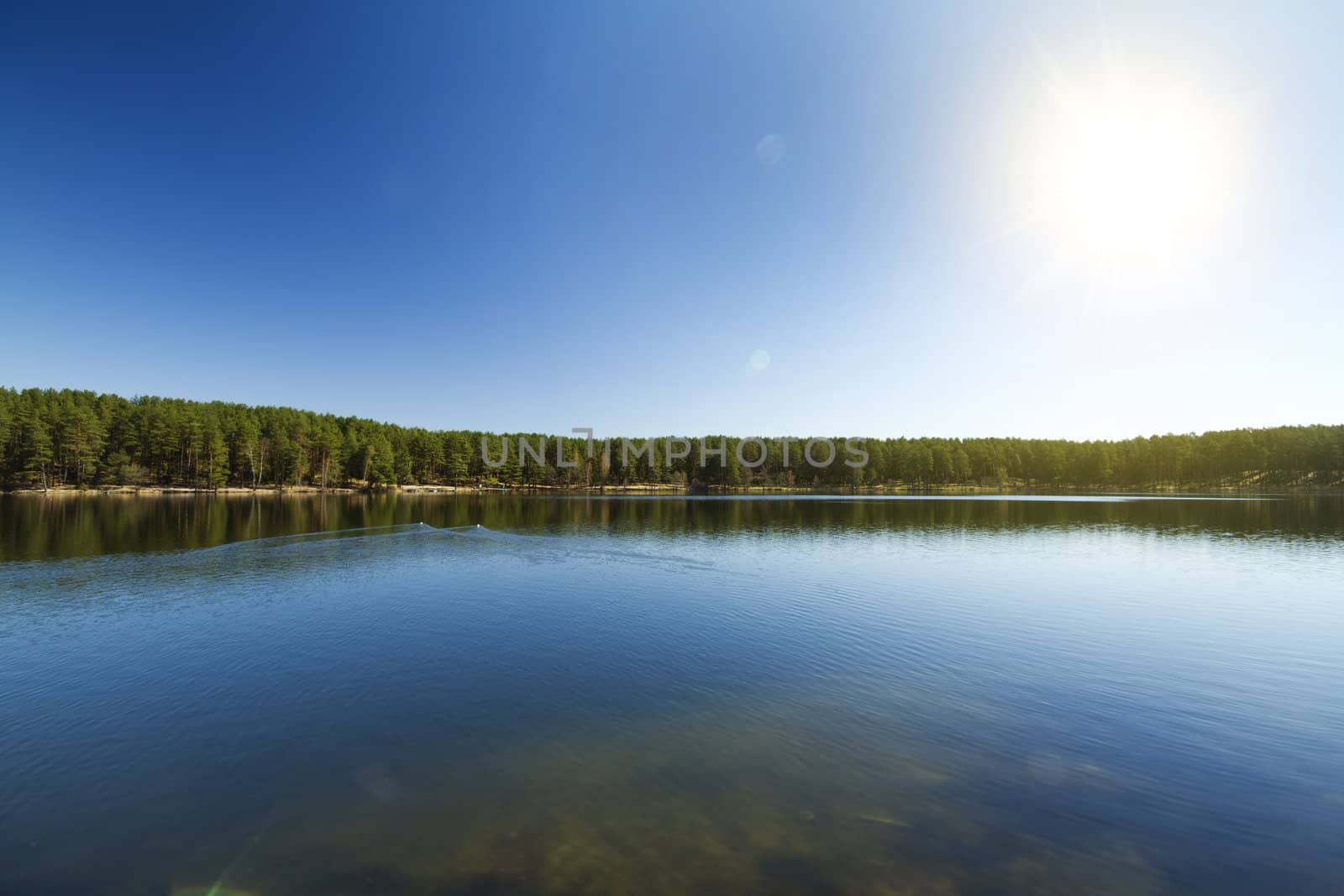 Forest Lake, Spring