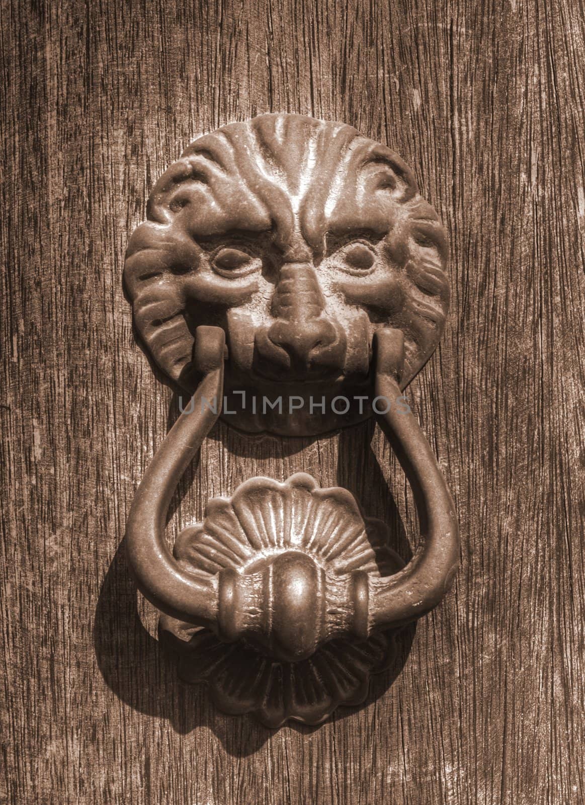 a lion head knocker on a wood door