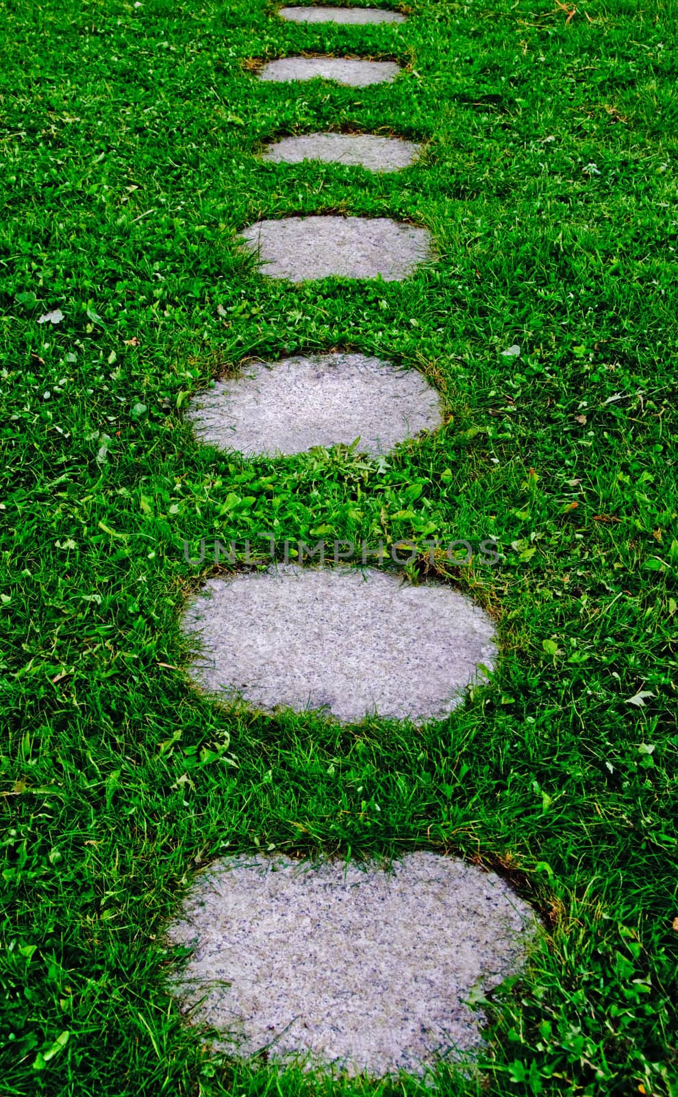 Steps stones in grass