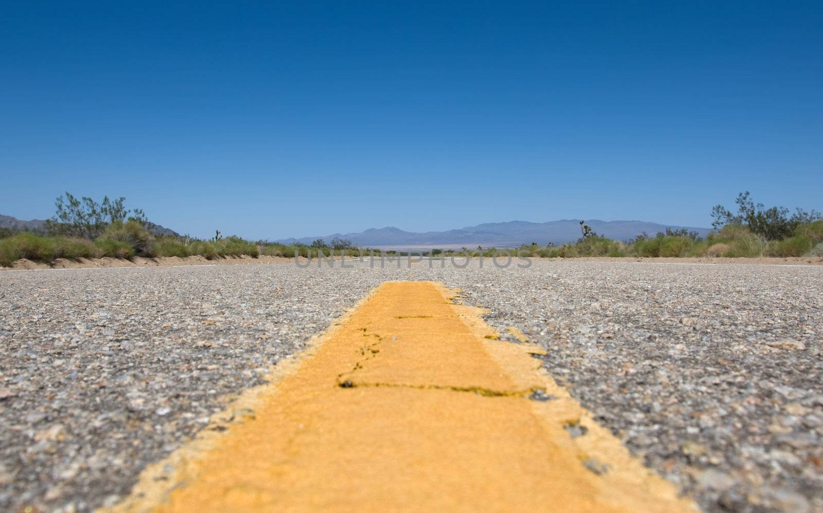 Scenic road in the USA at sunny day