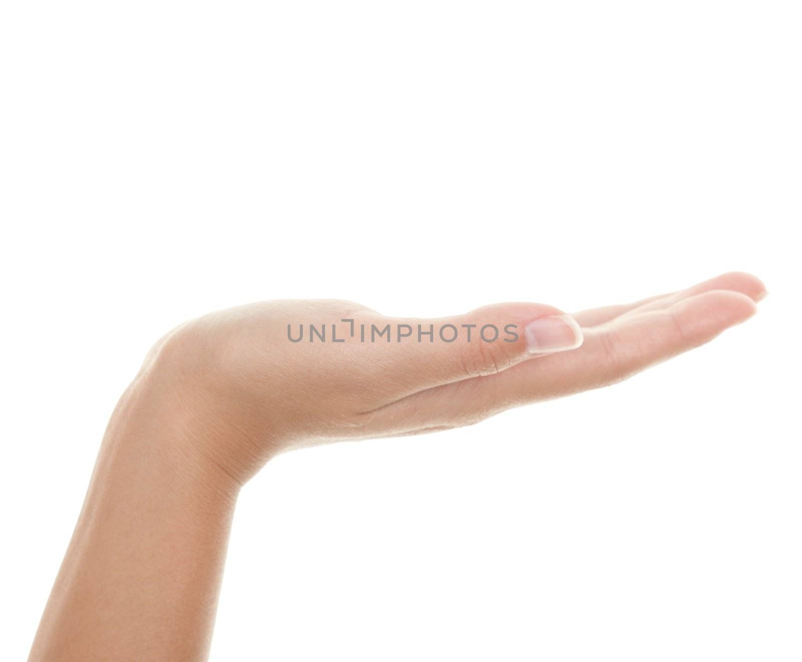 Empty hand palm showing your product. Brightly lit with backlight. Female hand isolated on white background.