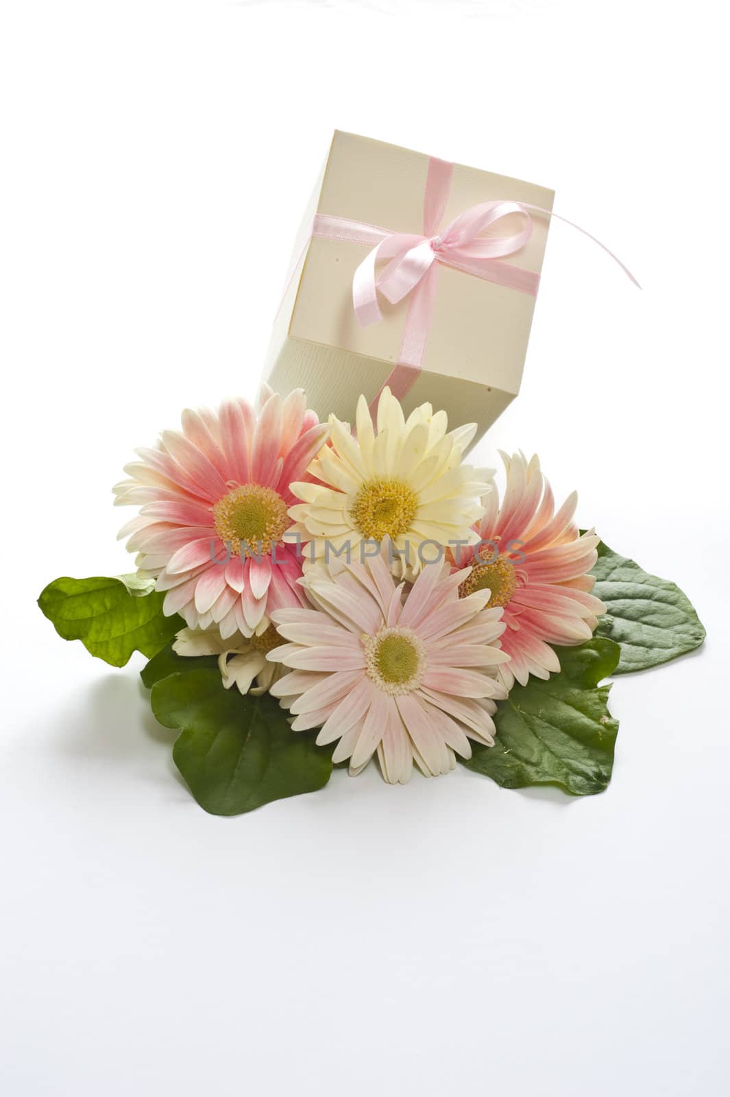 dress
 , Shoes, and wedding favors first communion