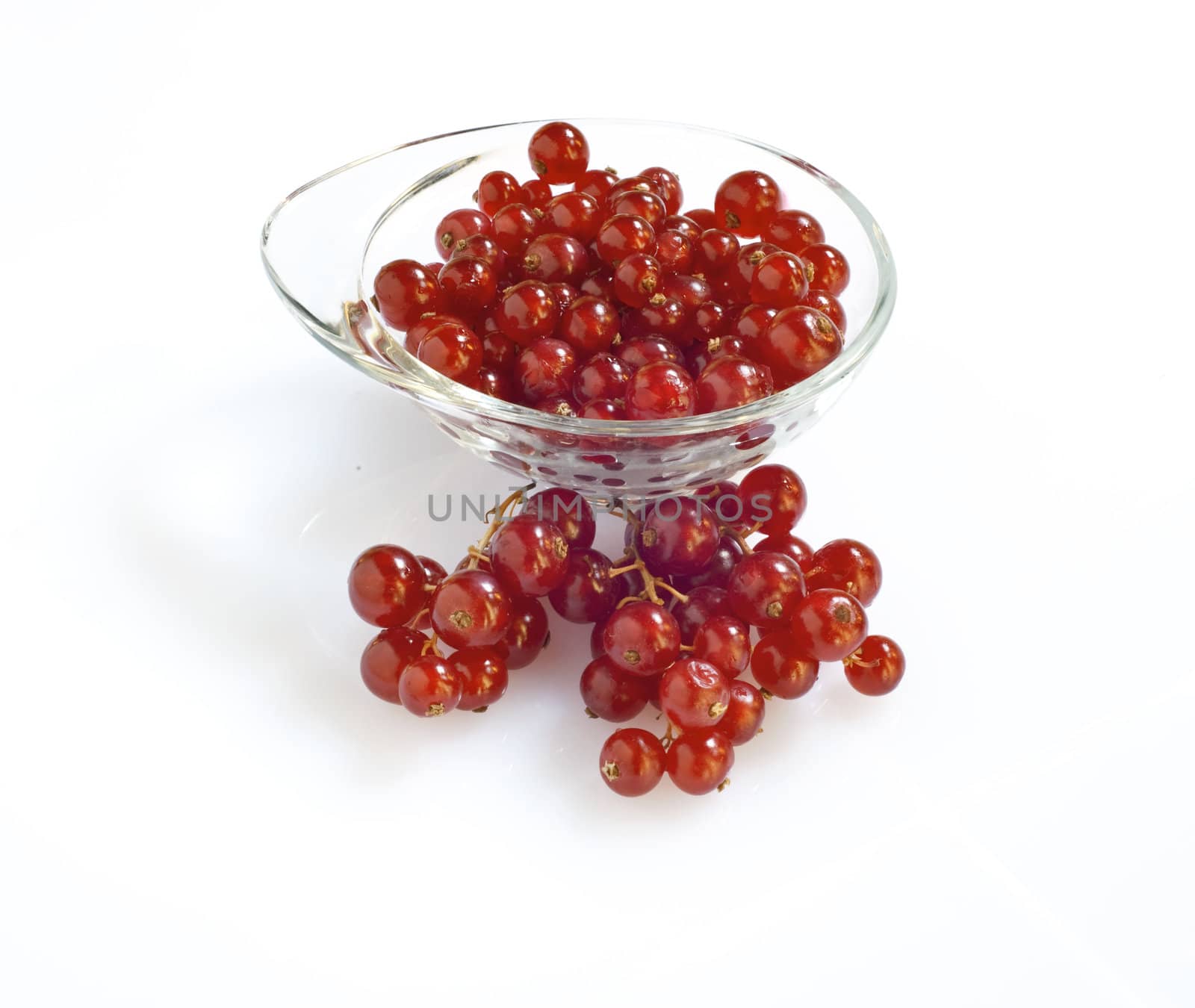 cluster of currants on a white background