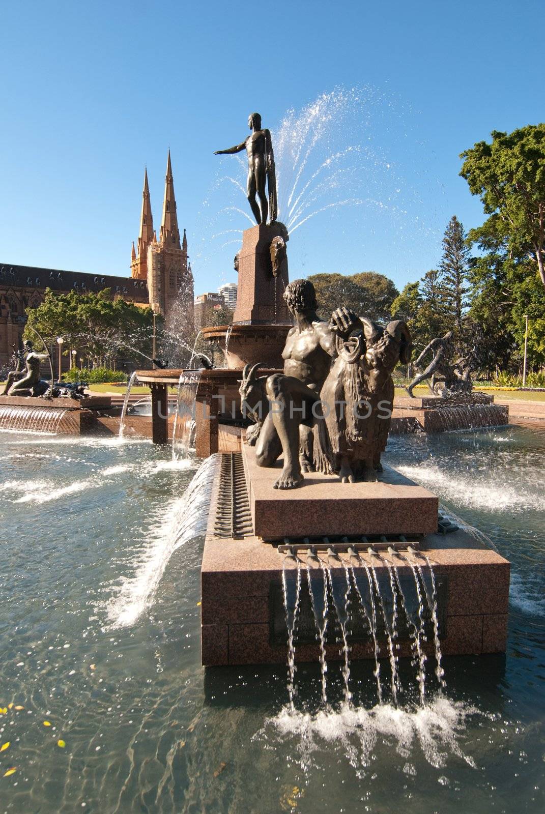 Archibald Fountain, Sydney by jovannig