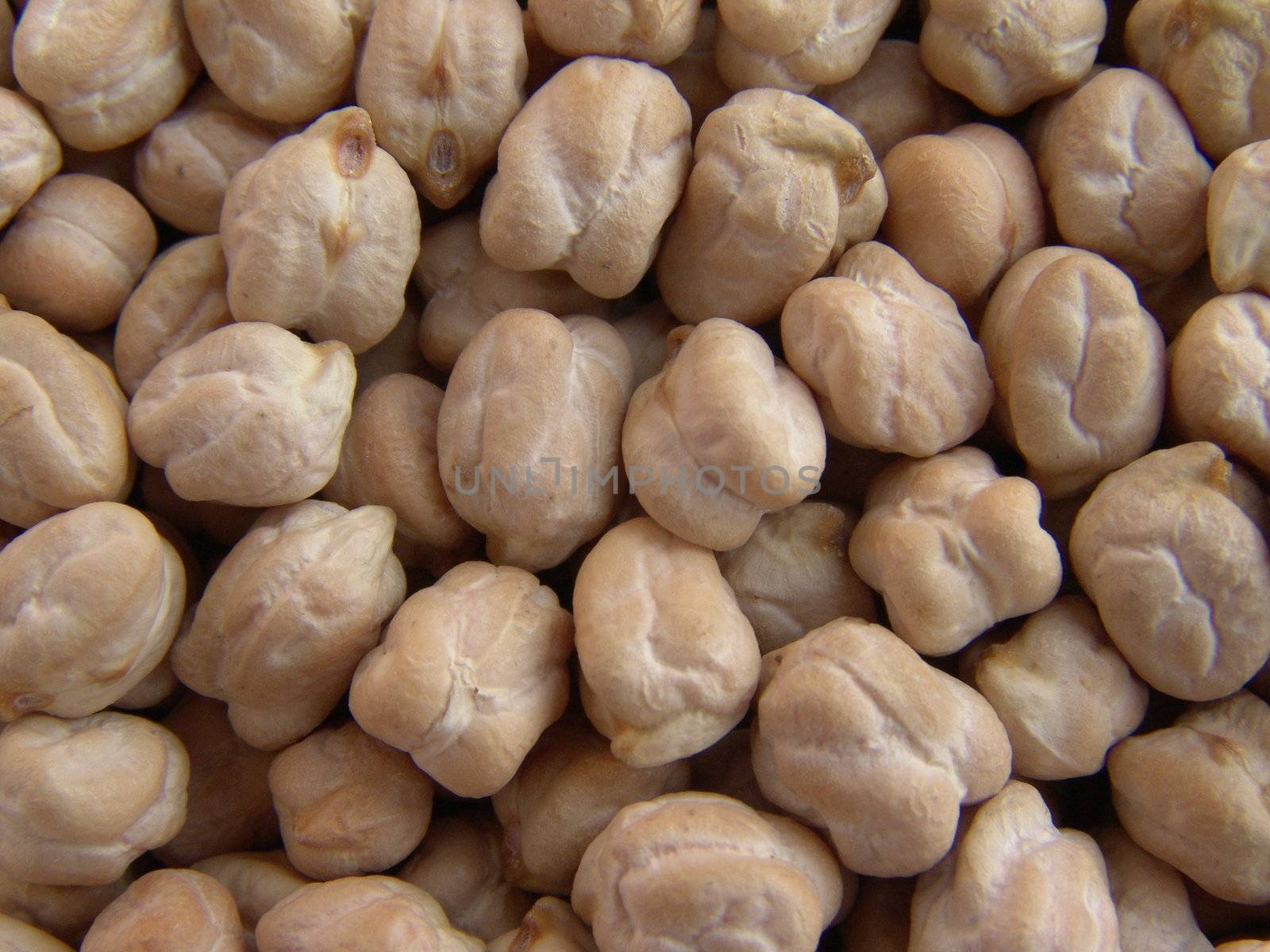 Close up on raw dried chickpeas