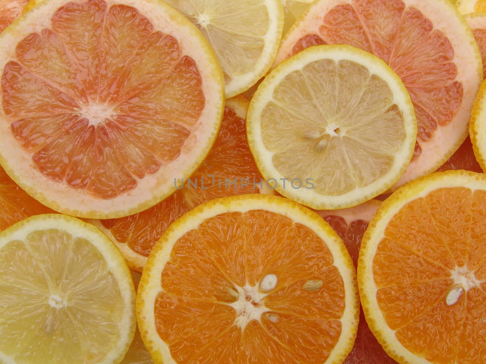 Close up on various citrus fruit slices