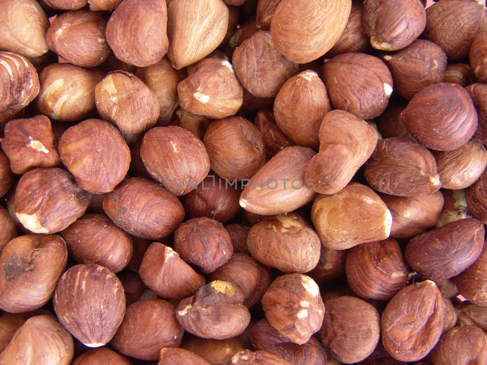 Close up on raw shelled hazelnuts