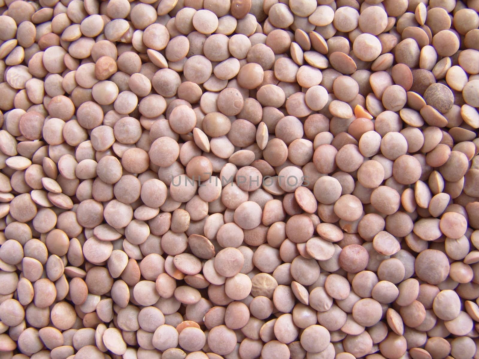 Close up on dried raw lentils