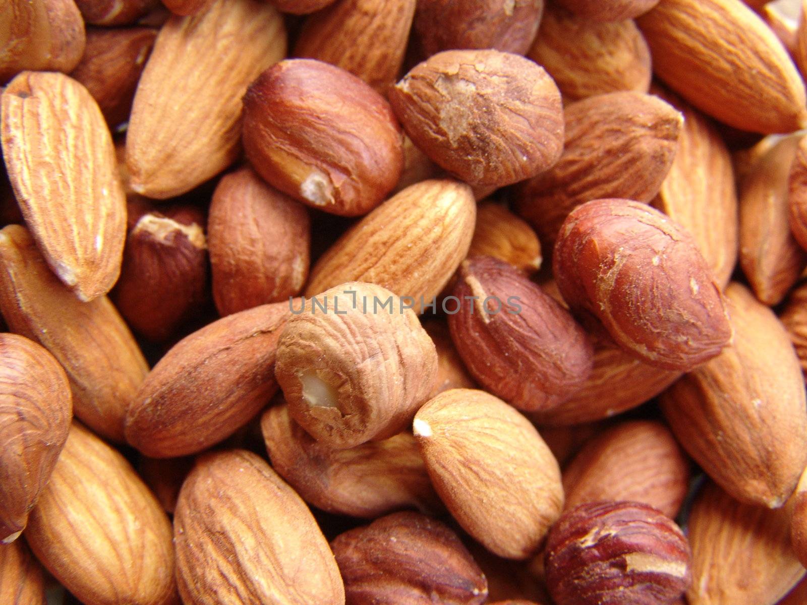 Almonds and hazelnuts by raliand