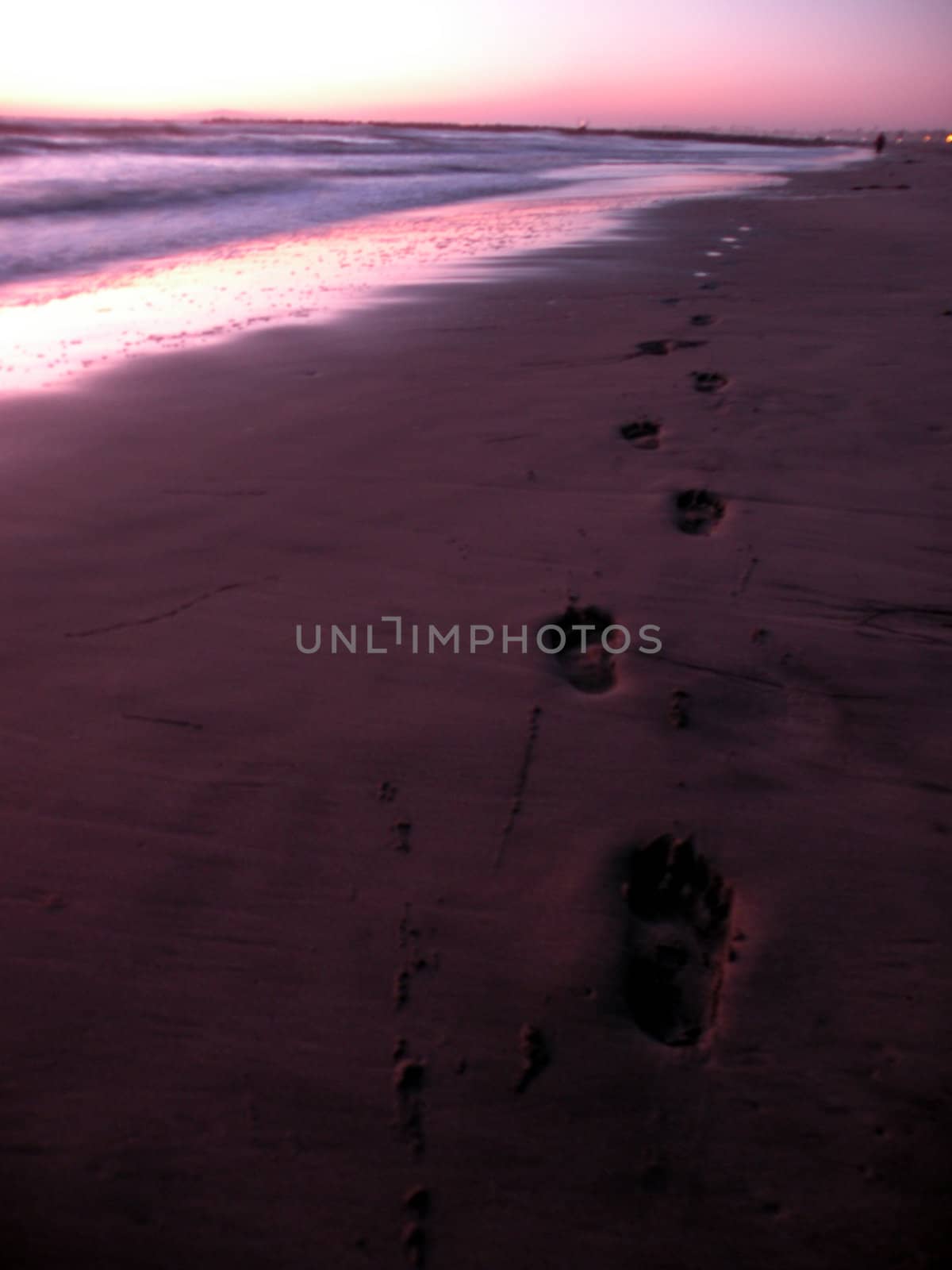 footprints in the sand, at the beach, at sunset