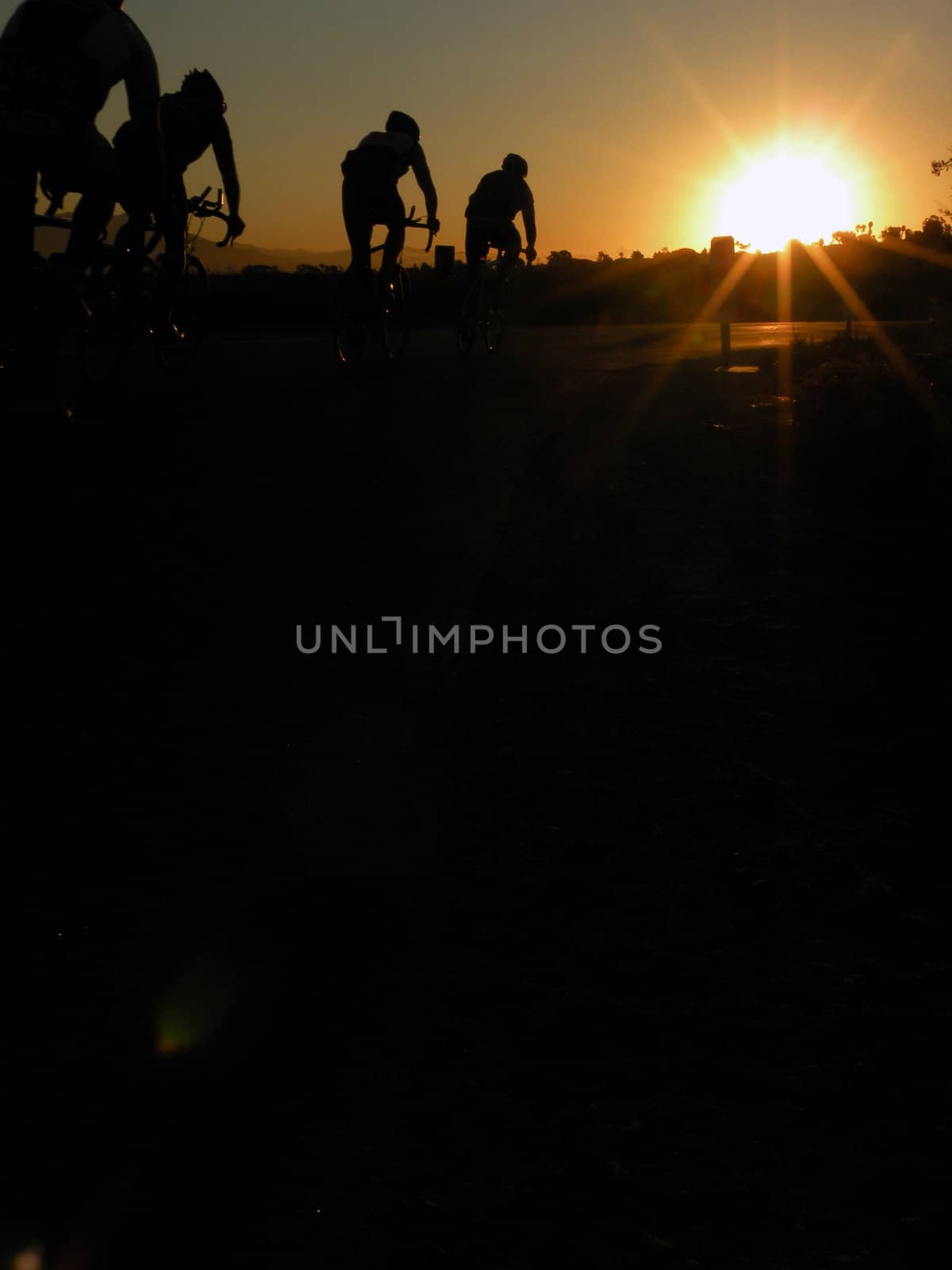 A group of cyclists, biking at sunrise