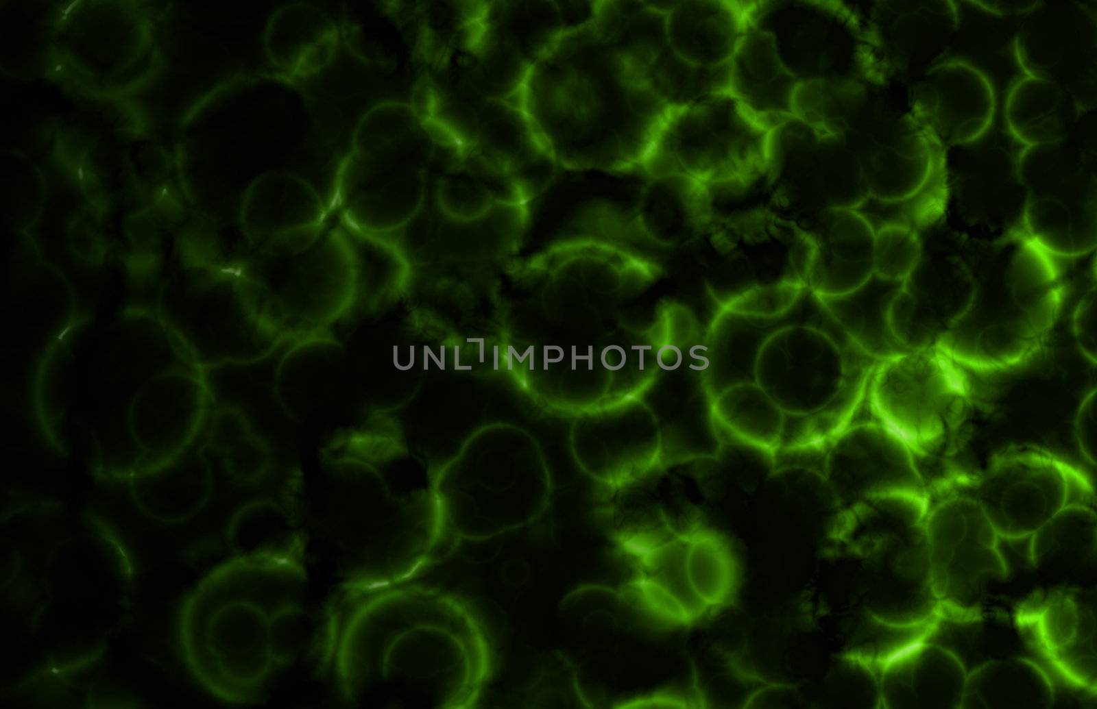 Microscopic Cell Organisms as an Abstract Art