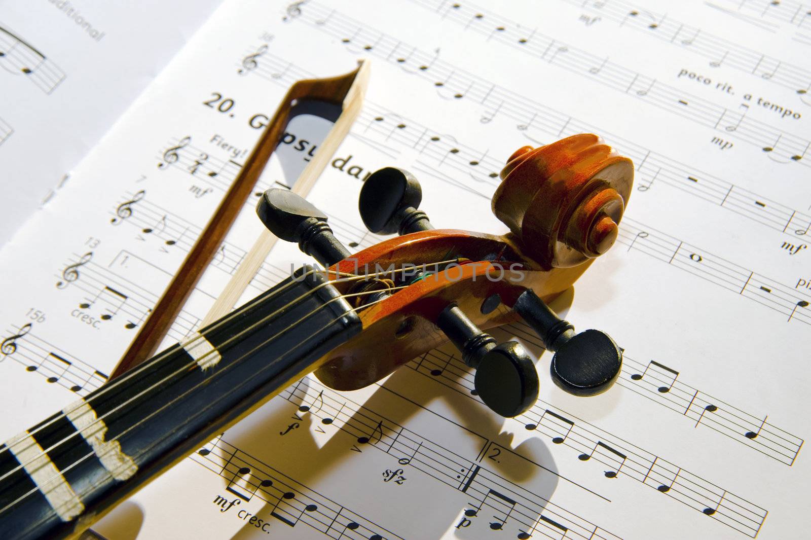 Violin on notes background taken as clouseup