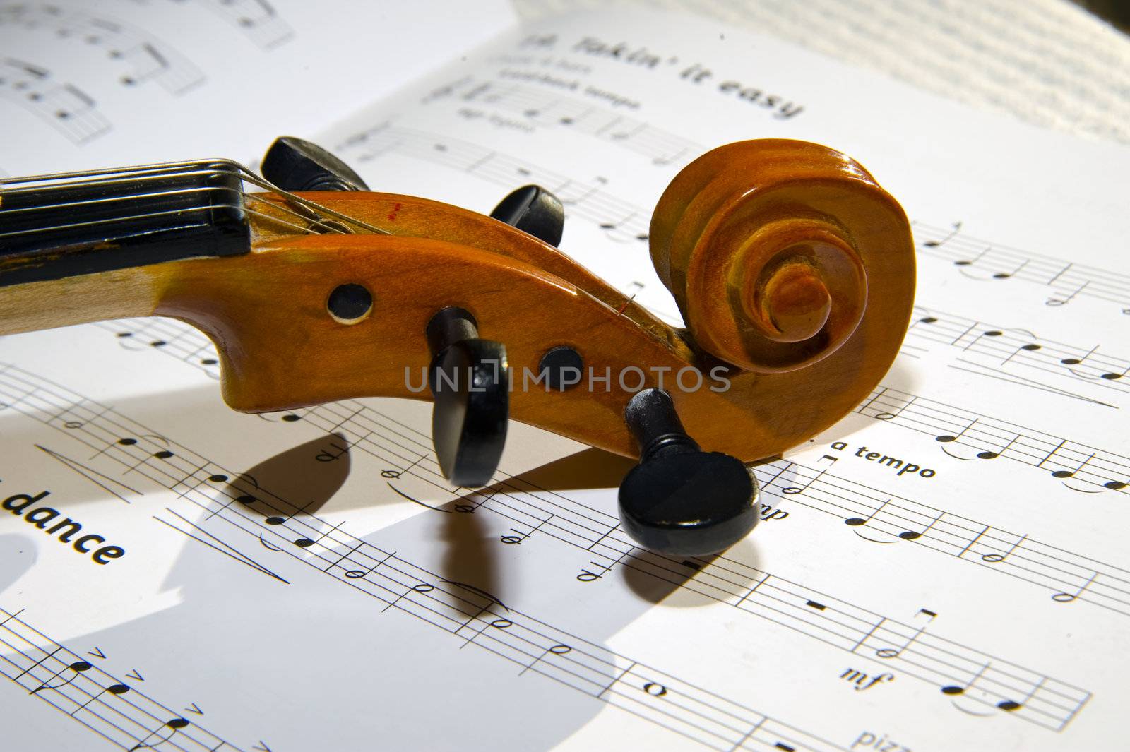 Violin and notes by Alenmax