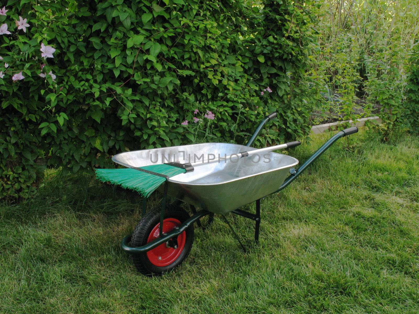 Wheelbarrow and broom on green grass in garden
