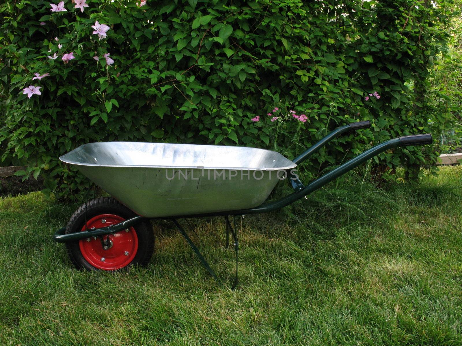 Wheelbarrow on green grass in garden by Vitamin