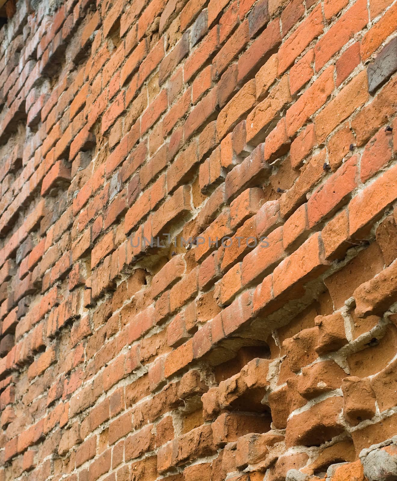 Old brick wall by serpl