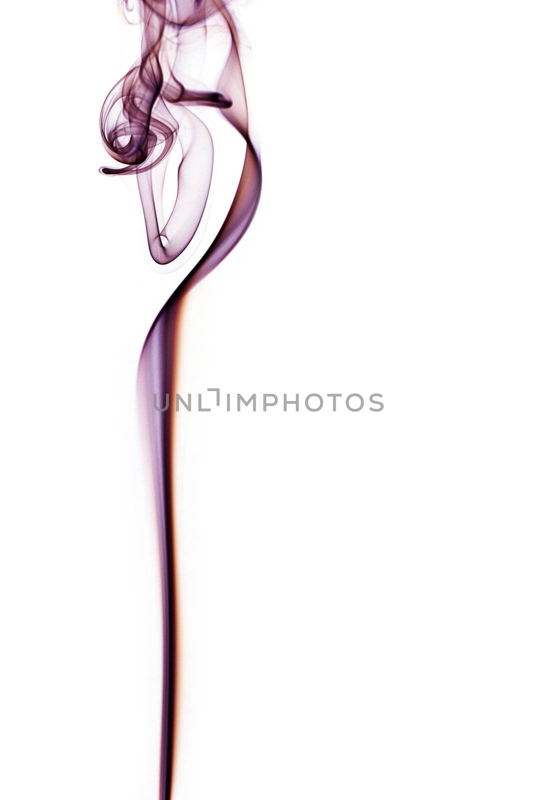 purple fragile abstract smoke on white background