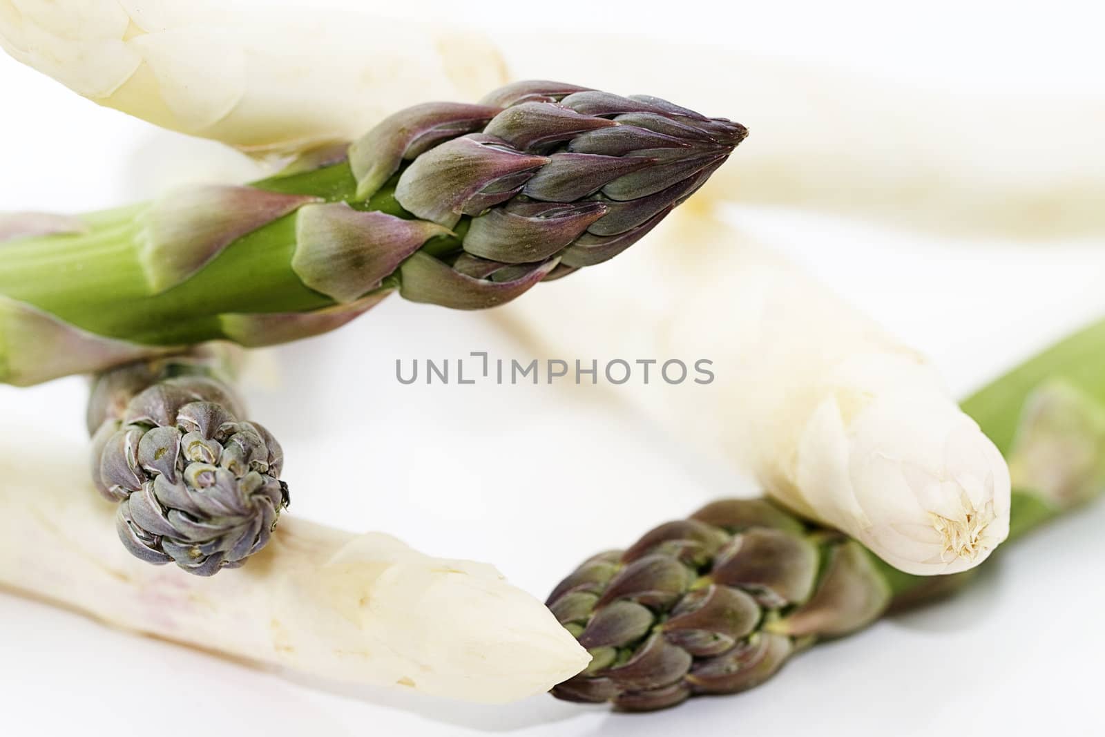 macro green and white asparagus by RobStark