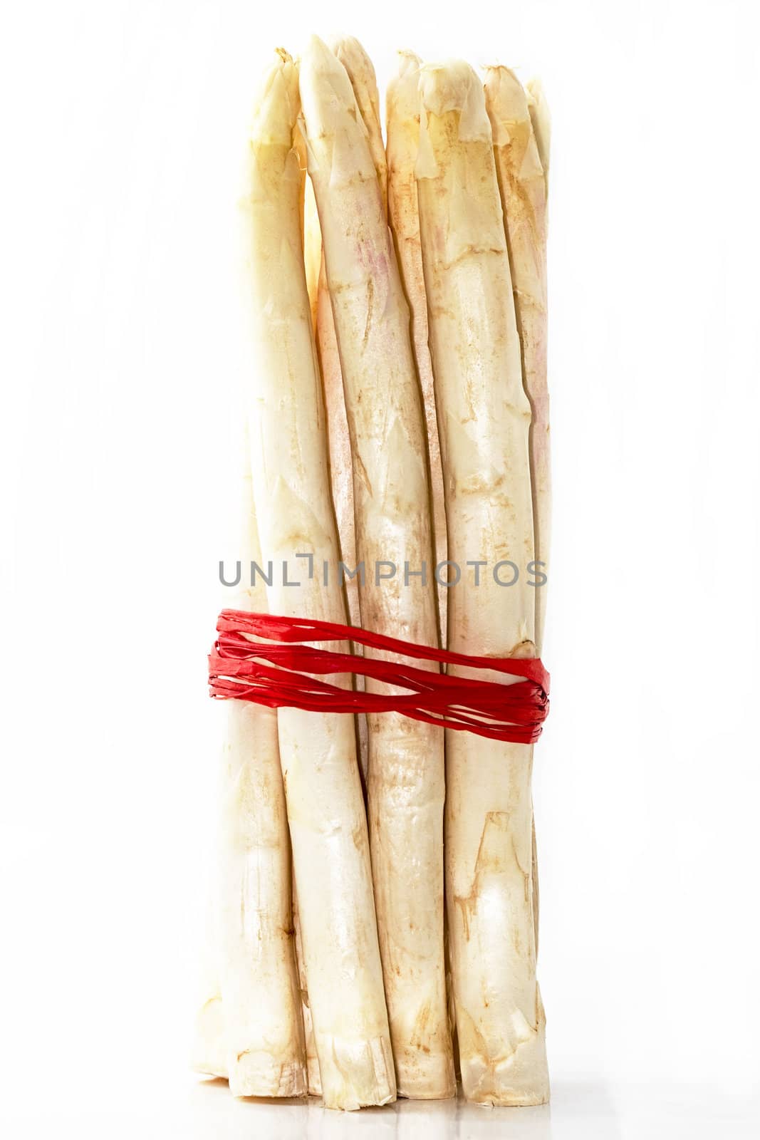 a bundle of white asparagus on white background