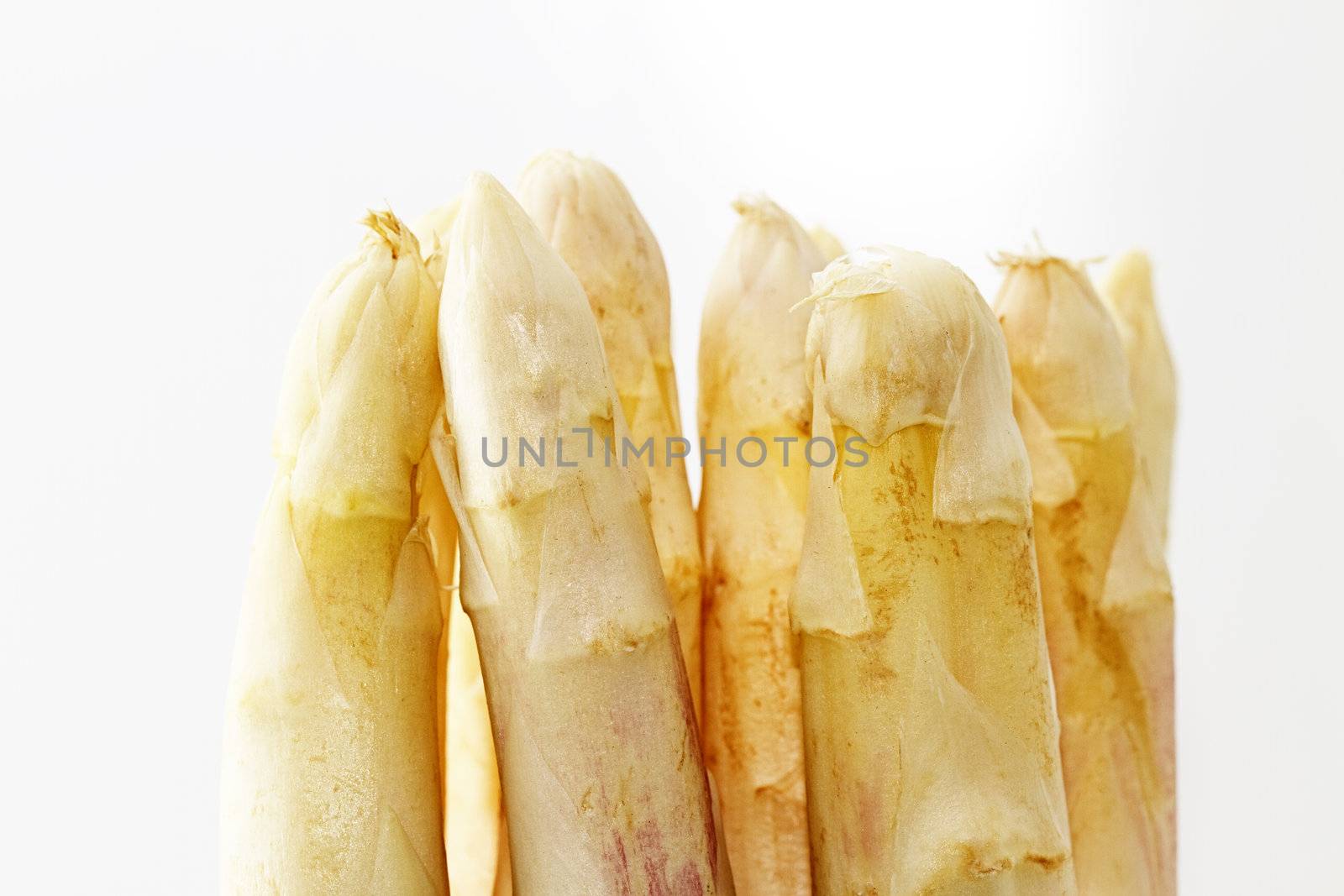 some tips of white asparagus on white background