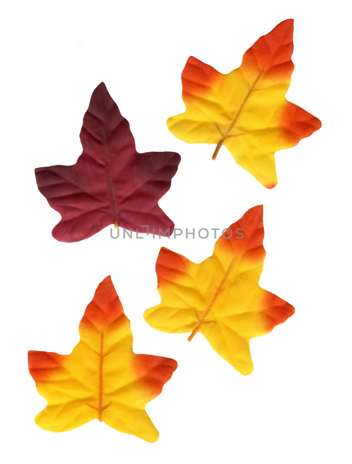 This image shows a macro from Decoration Leaves