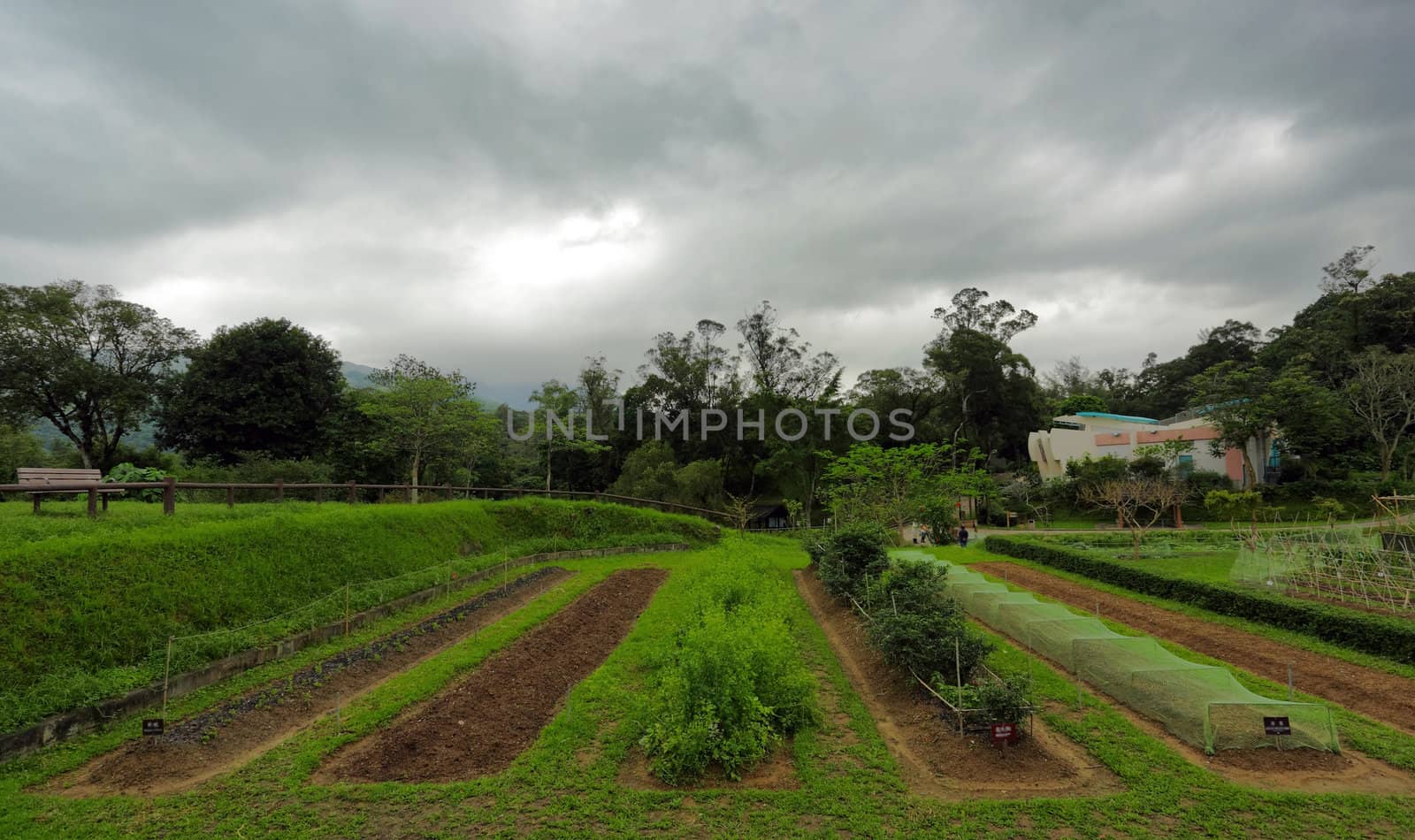 field under storm