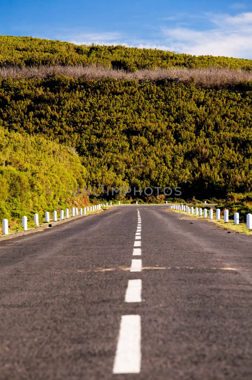 Mountain road in Madeira Island