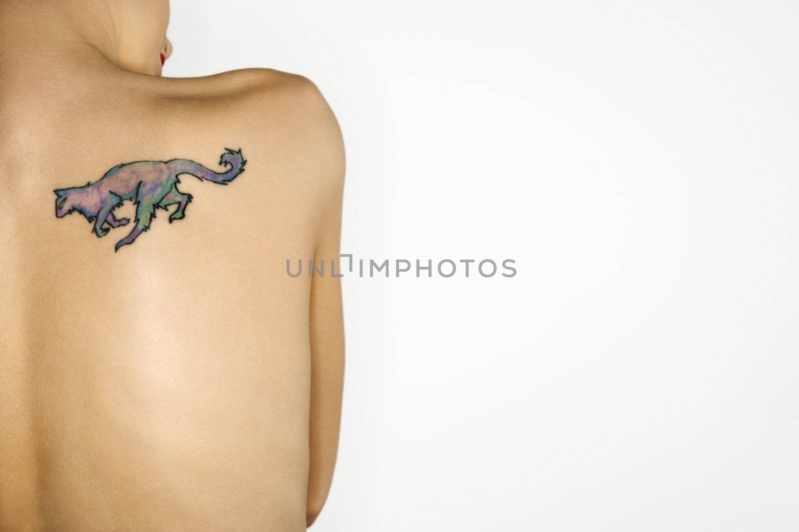 Nude young tattooed woman. by iofoto