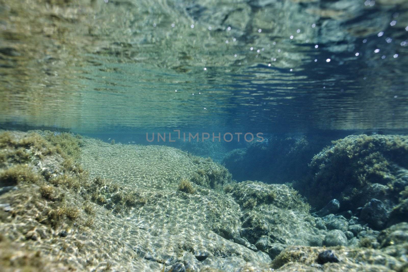 Underwater rocks in ocean in Maui, Hawaii.