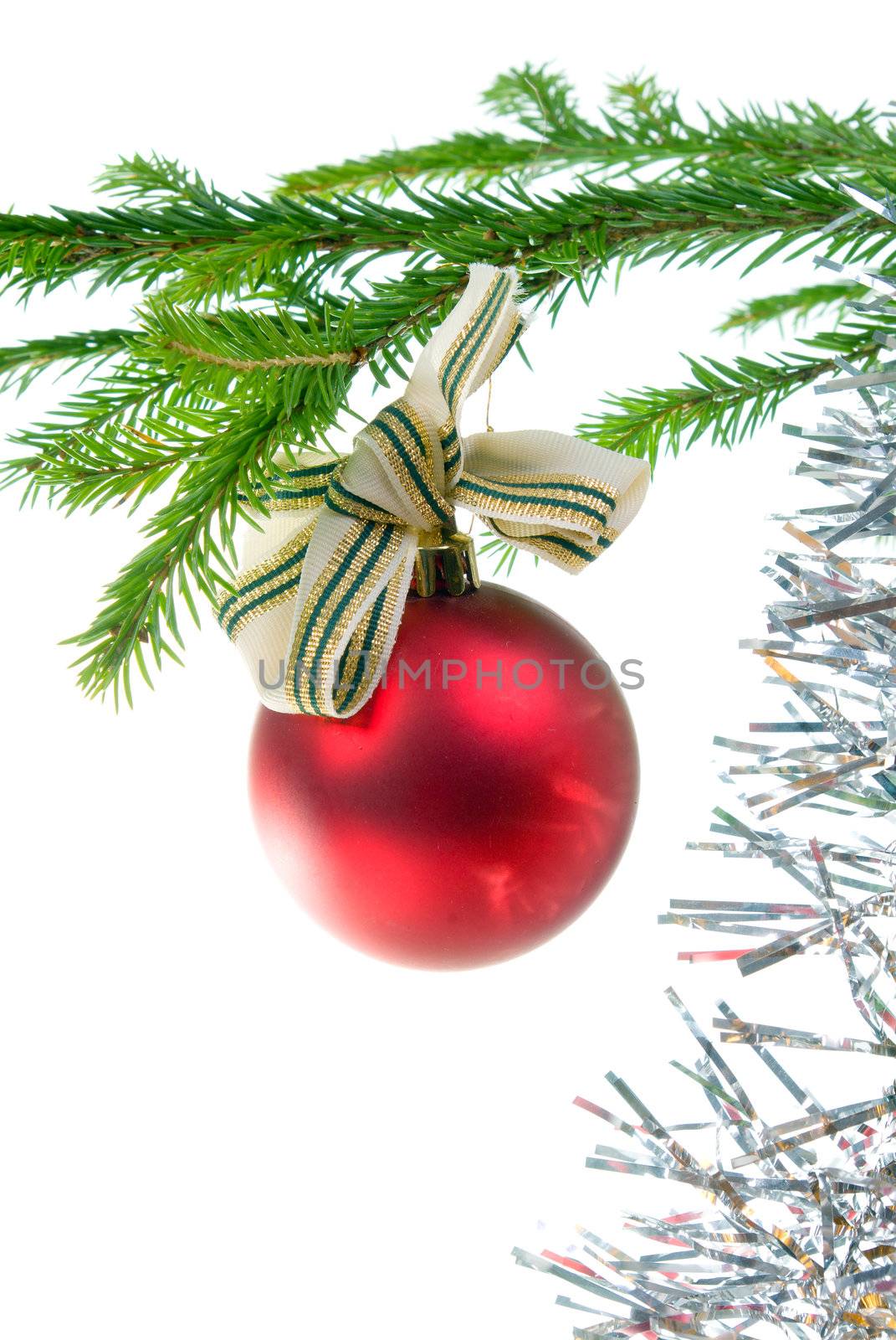 Christmas bauble  on background of the fur branches,red ball
