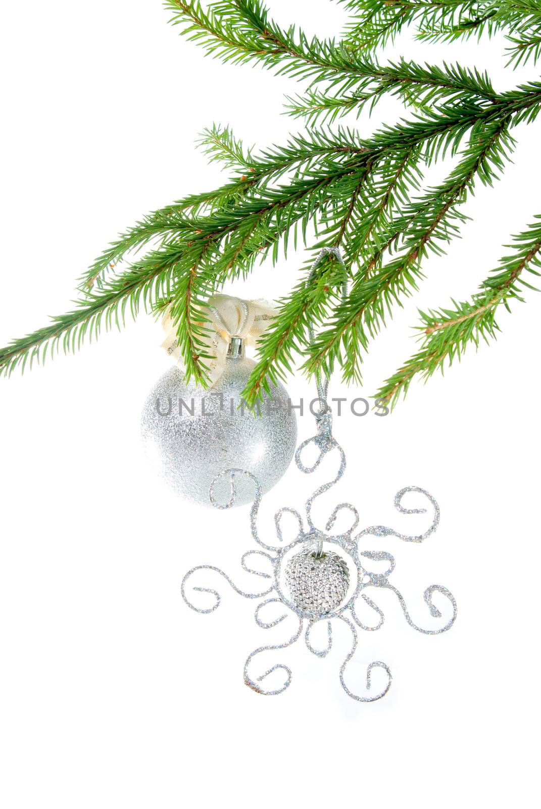 Christmas bauble  on background of the fur branches
