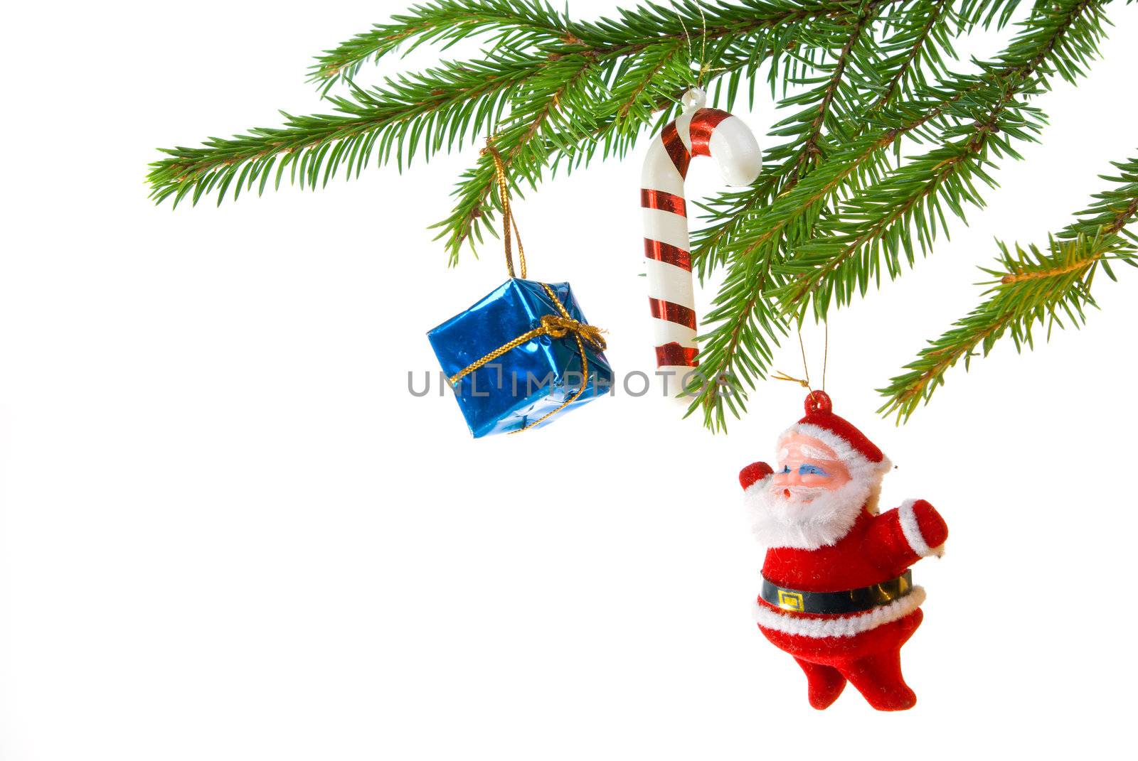 santa claus ,Christmas bauble  on background of the fur branches