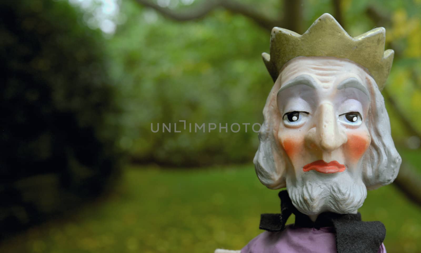 Old fashioned king hand puppet in the royal gardens
