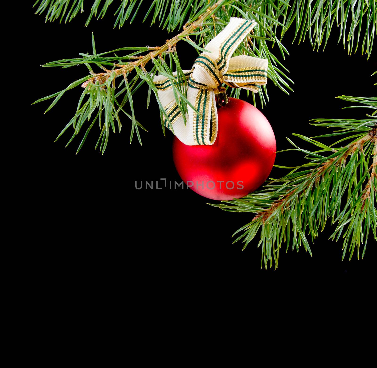 Christmas bauble  on background of the fur branches