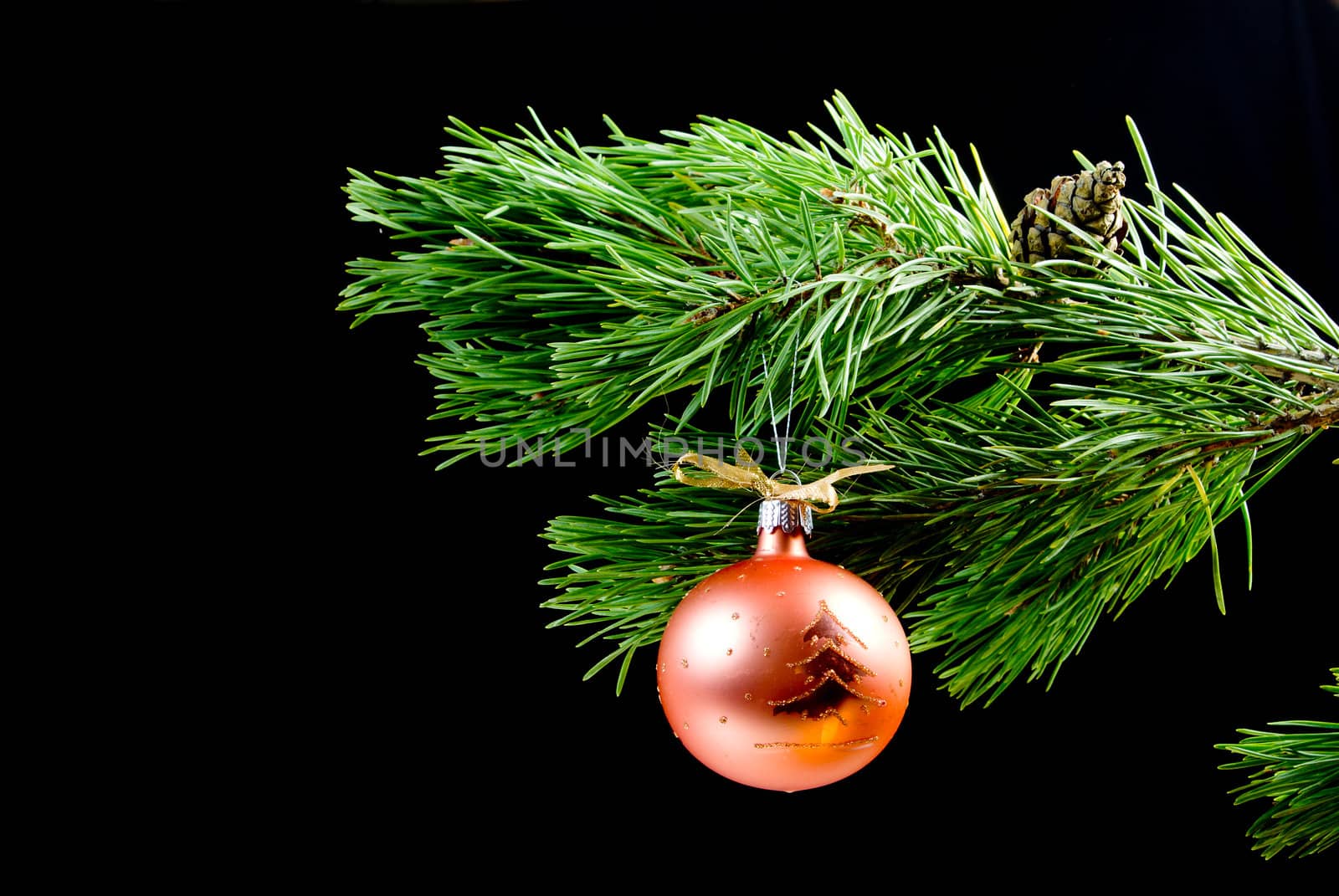 coniferous branch on dark background with toy cristmas