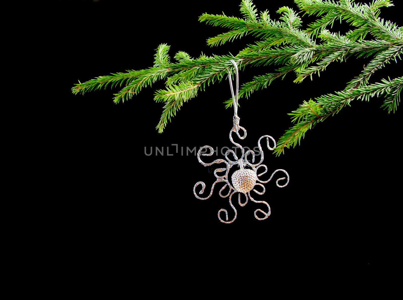 Christmas bauble  on background of the fur branches