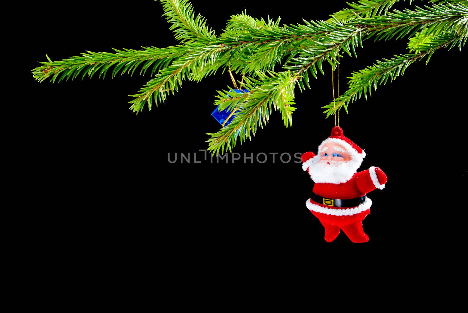 santa claus ,Christmas bauble  on background of the fur branches