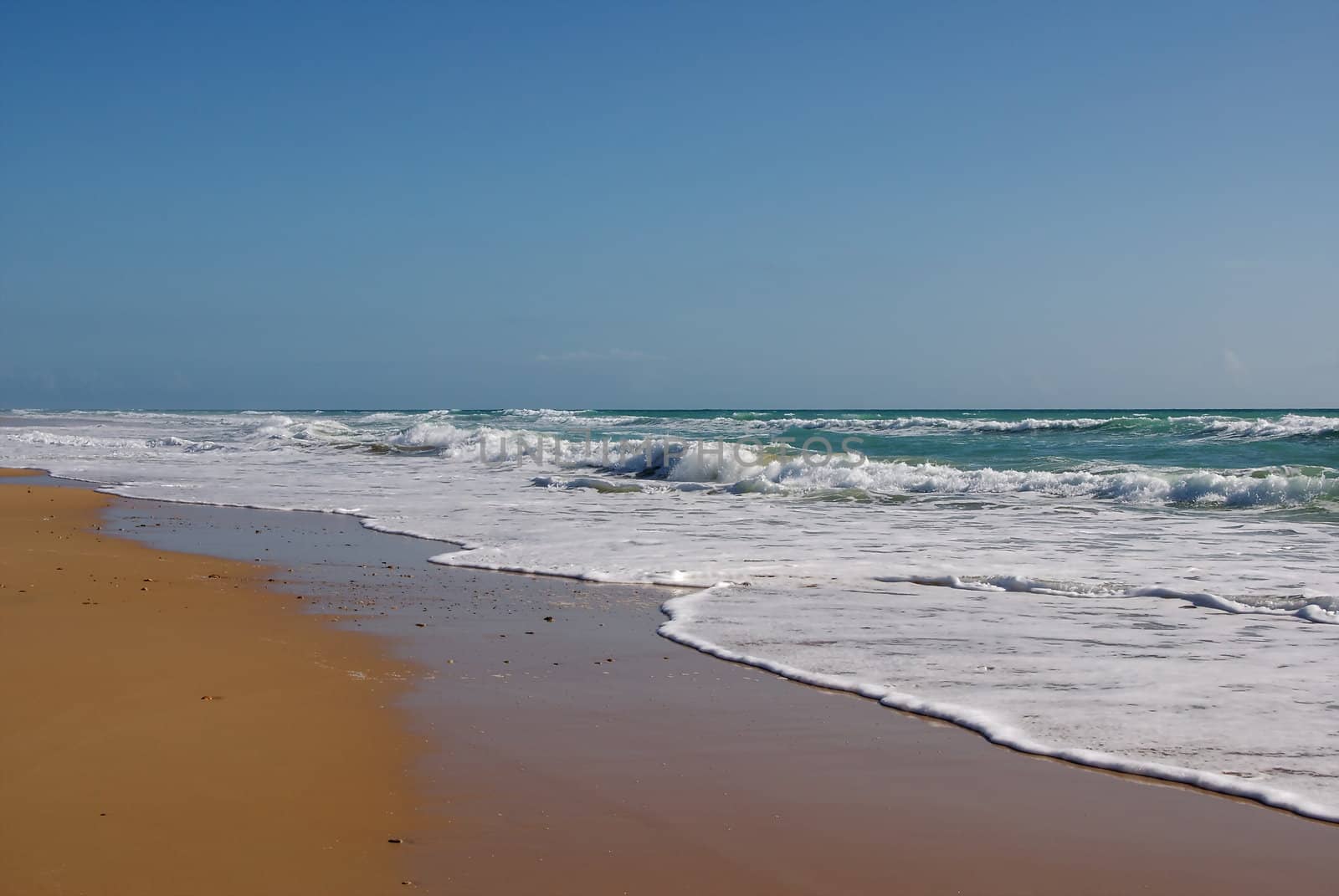 Andalusian beach