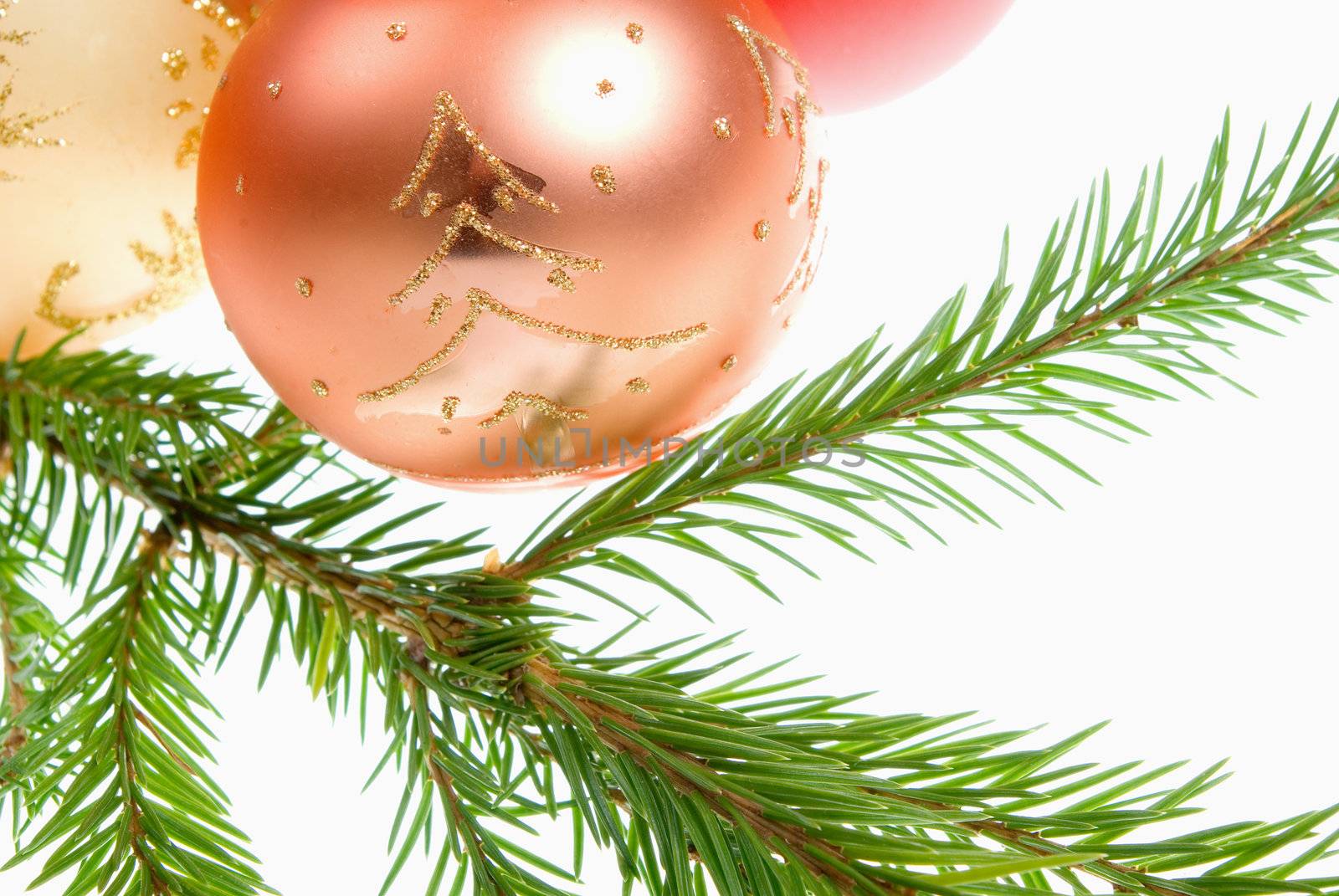 Christmas bauble  on background of the fur branches