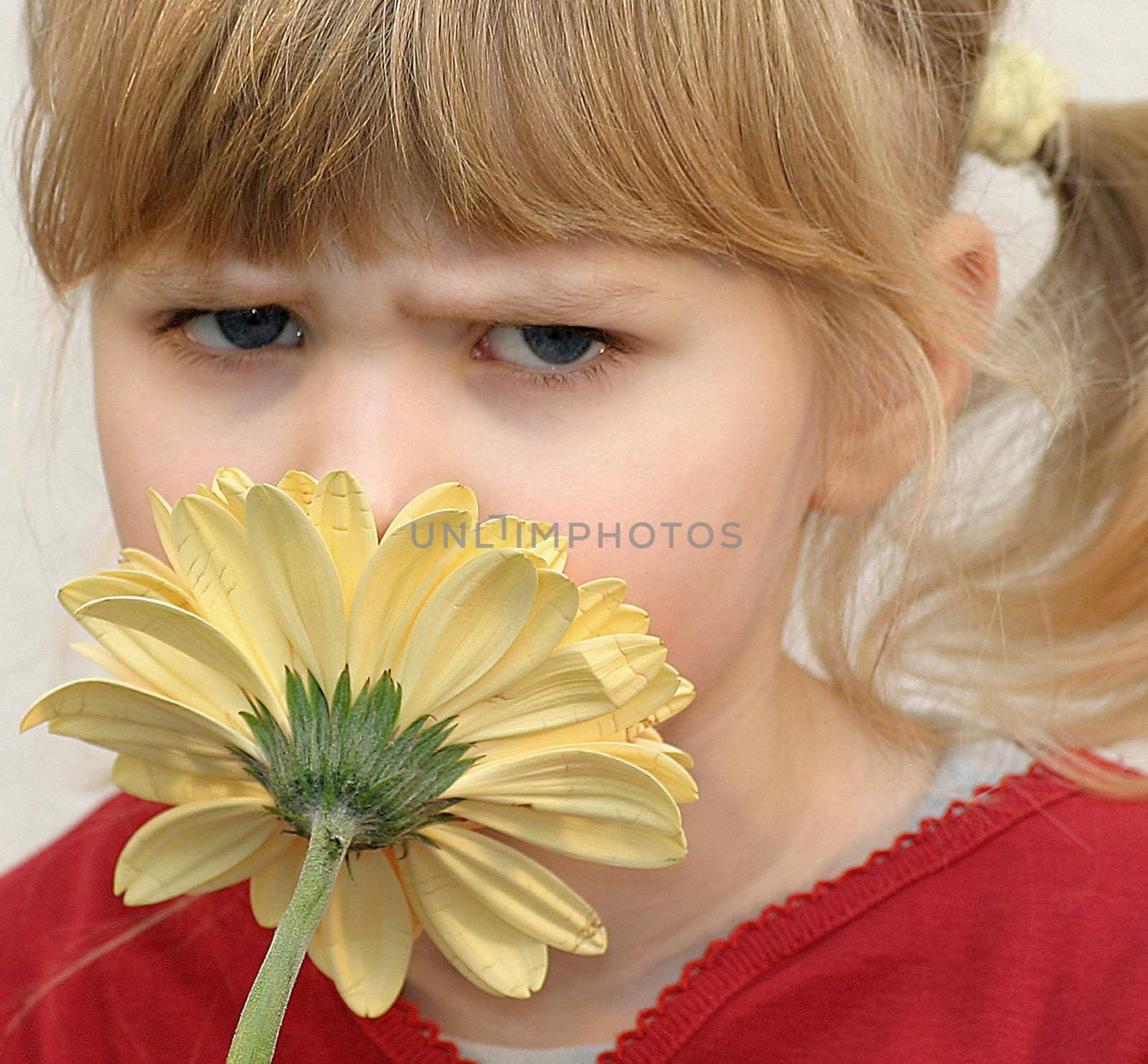 Portrait of girls in the open air on the blur background