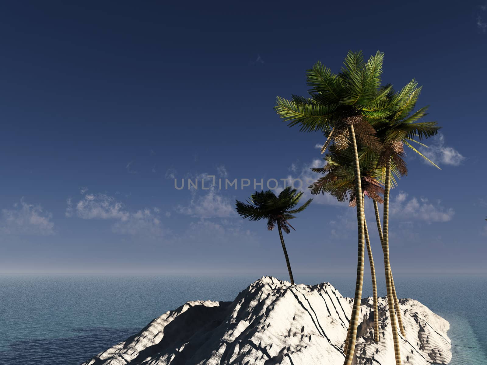 A palm tree island with a sky background.