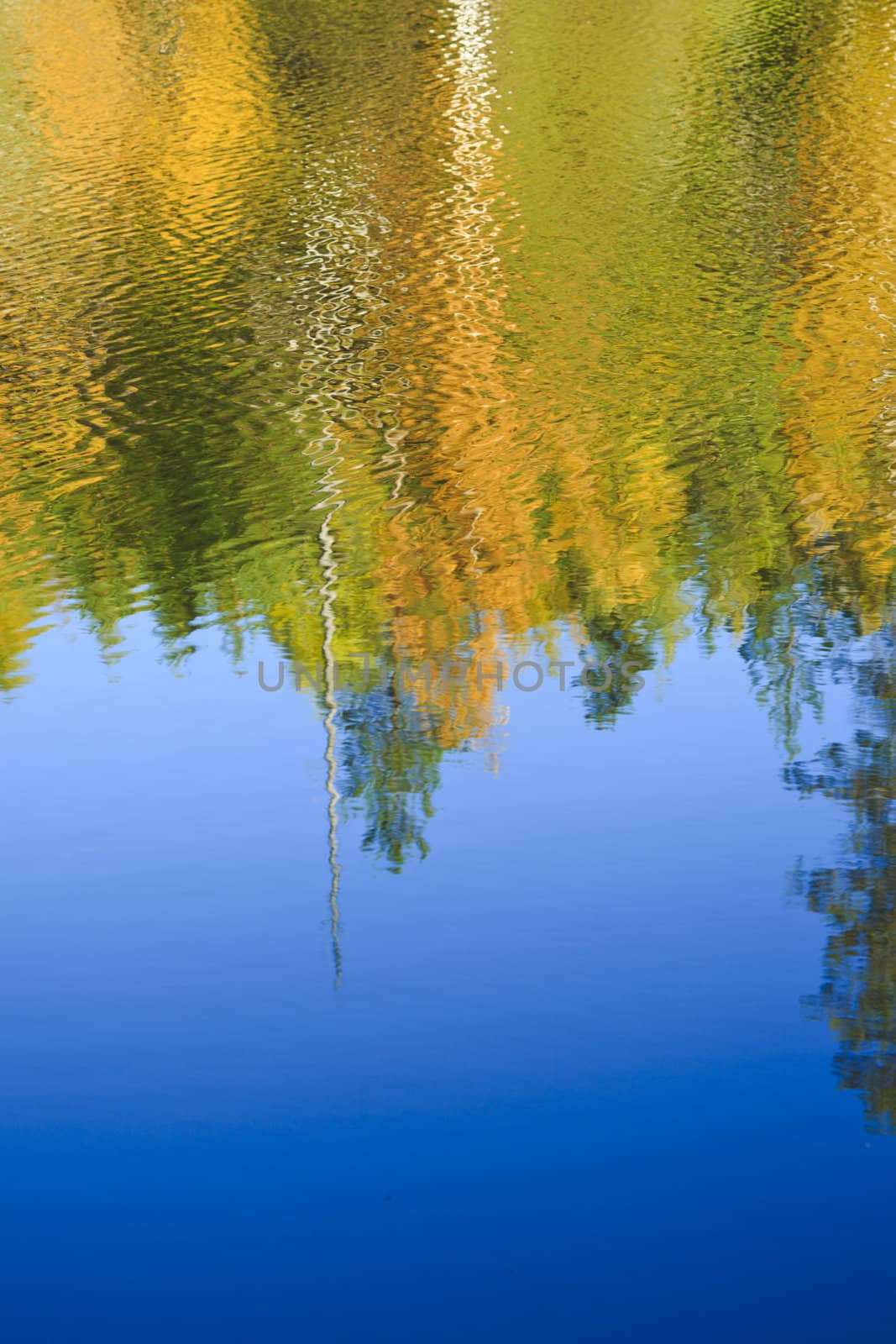 Fall colored forest reflections on the blue water