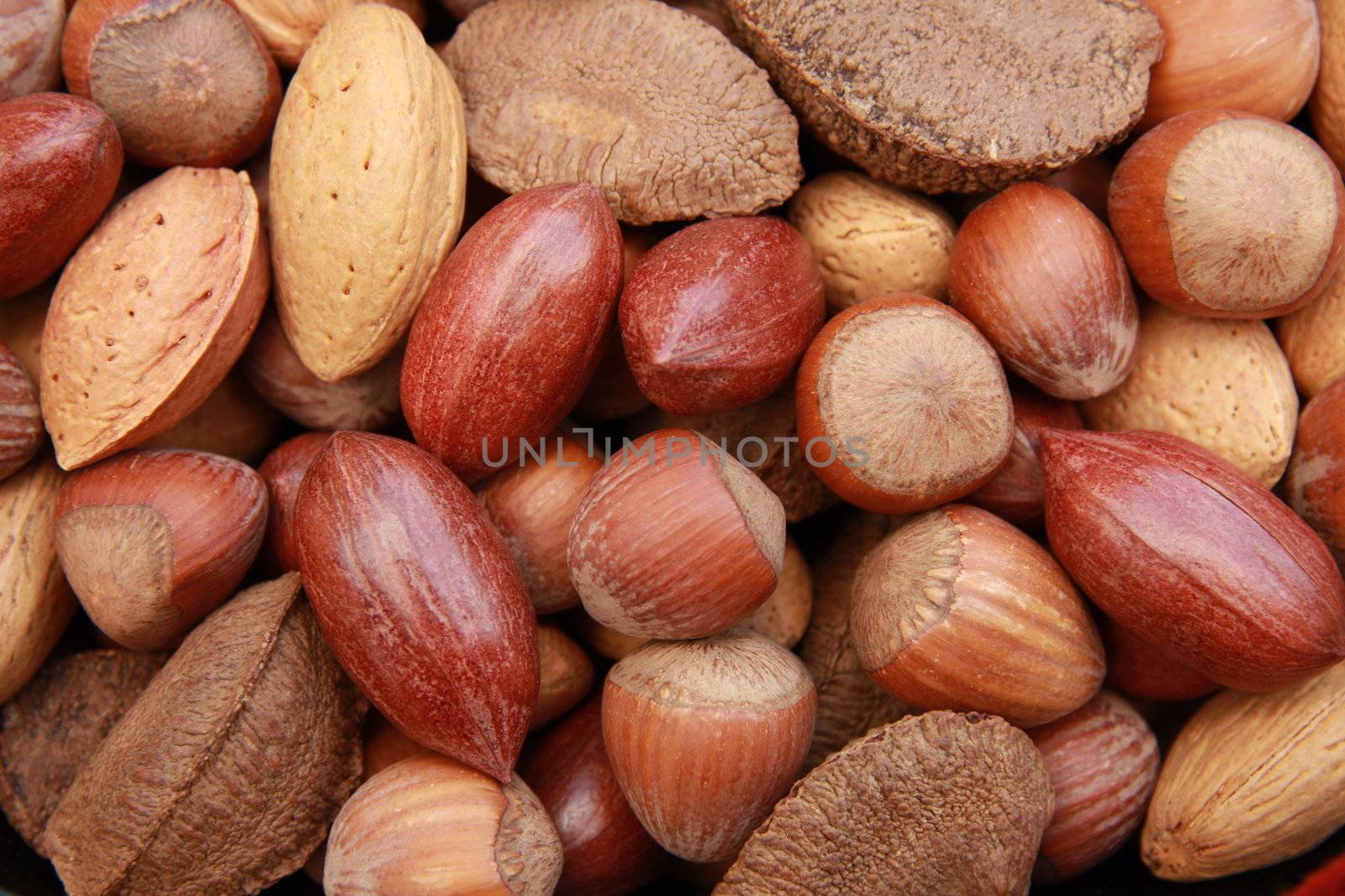 Close up on various nuts in shells