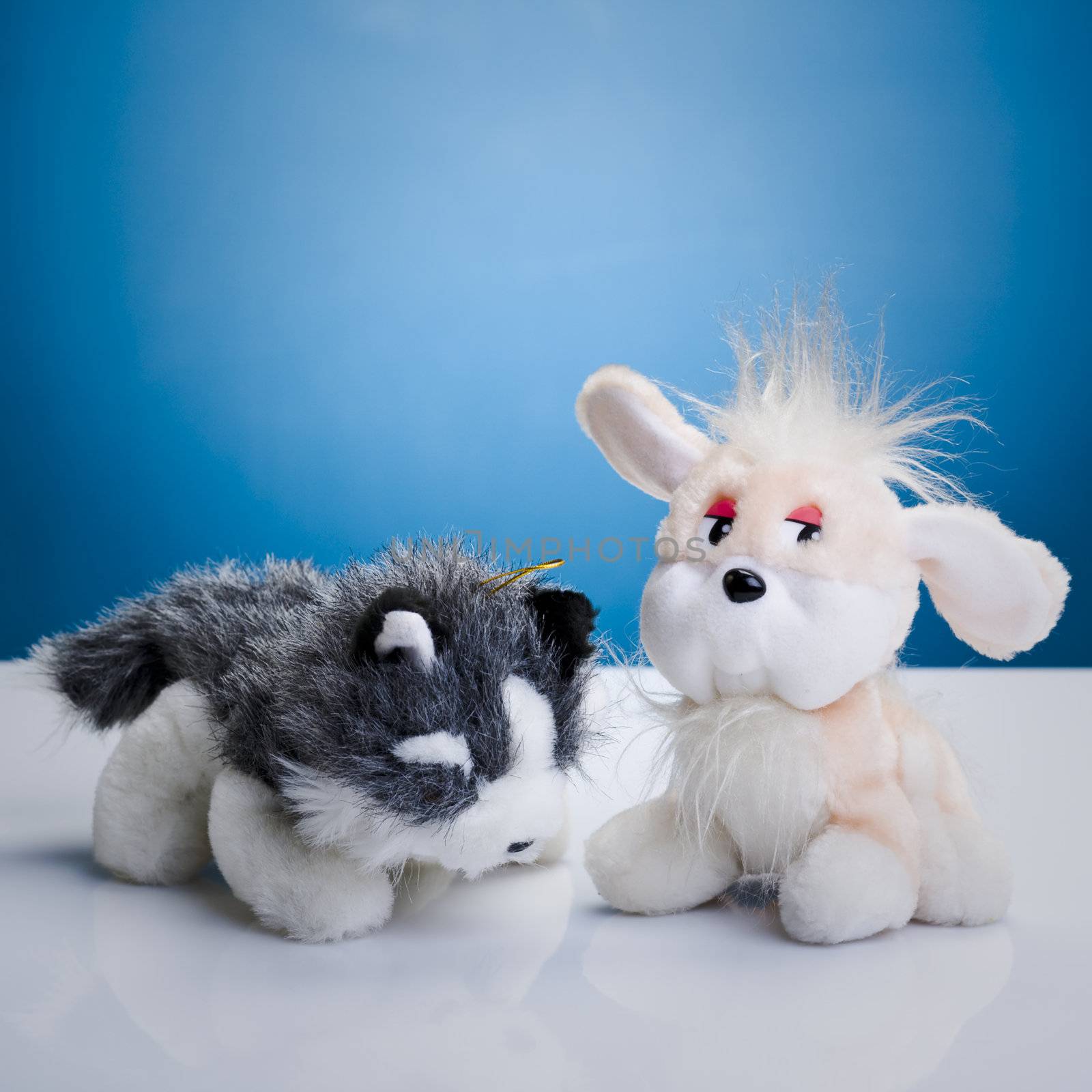 Toy cat and dog on the white reflective table