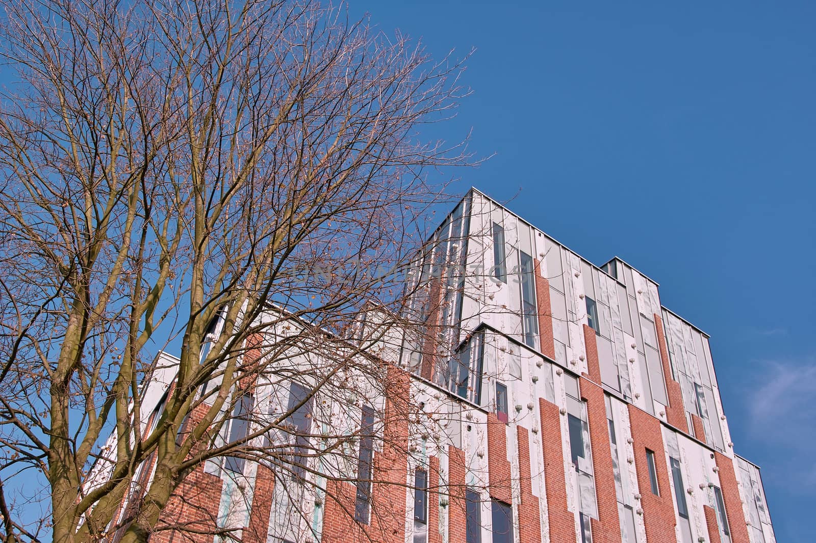 The city theatre in Haarlem is a national monument. Recently it was completely renovated and a modern extension was added 